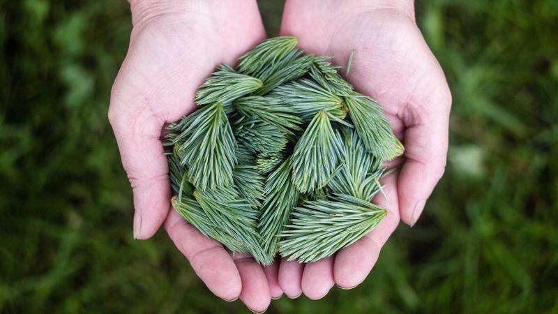 问鼎游戏最新动态主视觉